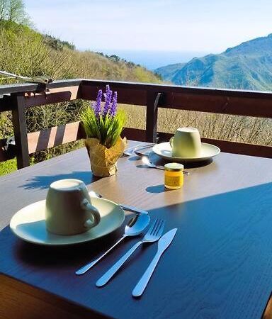 Appartamento Bee Freeride Bikers House Magliolo Esterno foto